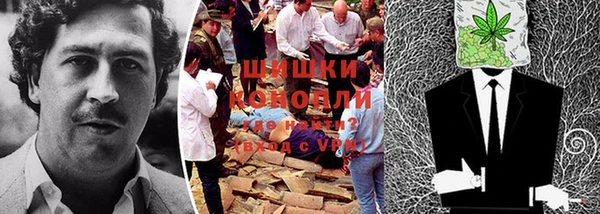 apvp Надым