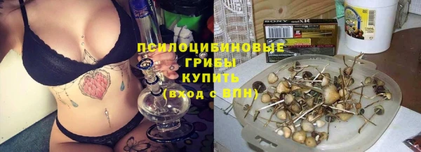 apvp Надым