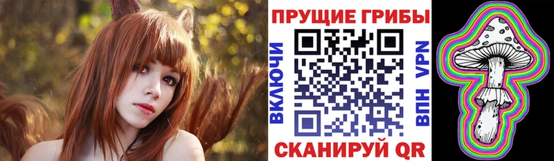 Псилоцибиновые грибы Psilocybine cubensis  хочу   Ставрополь 