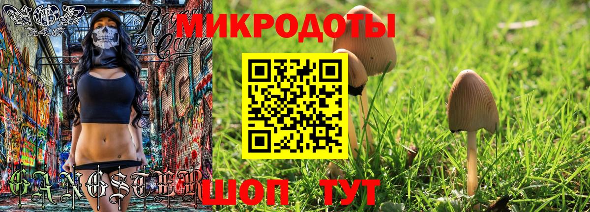 Галлюциногенные грибы мицелий  дарнет шоп  Ставрополь  Вход с VPN 